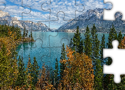 Góry Skaliste, Canadian Rockies, Jezioro, Abraham Lake, Las, Drzewa, Alberta, Kanada