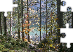 Jezioro Hintersee, Skały, Las, Drzewa, Park Narodowy Berchtesgaden, Bawaria, Niemcy