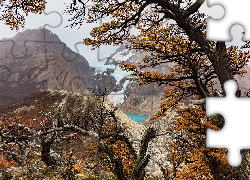 Góry, Drzewa, Lodowiec, Perito Moreno, Patagonia, Argentyna