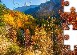 Jesień, Góry, Alpy, Kolorowe, Drzewa, Przełęcz, Col de la Cayolle, Francja