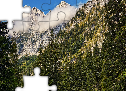 Góry, Zielone, Drzewa, Mgła