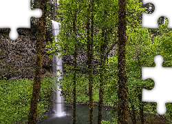 Stany Zjednoczone, Oregon, Park stanowy, Silver Falls State Park, Wodospad South Falls, Omszałe, Drzewa