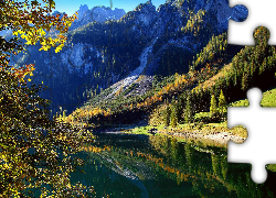 Las, Góry, Drzewa, Jezioro Gosau, Austria