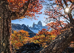 Argentyna, Patagonia, Park Narodowy Los Glaciares, Góry, Fitz Roy, Drzewa, Jesień, Promienie słońca