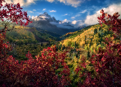Góry, Jesień, Drzewa, Roślinność, Kolorowa, Drzewa