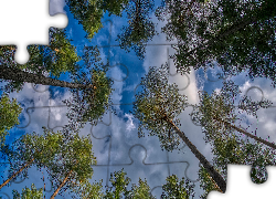 Wysokie, Drzewa, Wierzchołki, Niebo