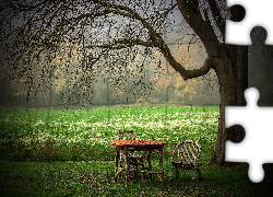 Drzewo, Polana, Wiklinowy, Stół, Wiklinowe, Krzesła