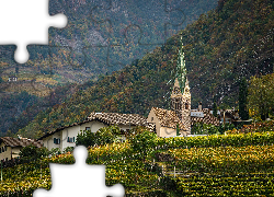Kościół, Drzewa, Las, Winnice, Gmina Bolzano, Włochy