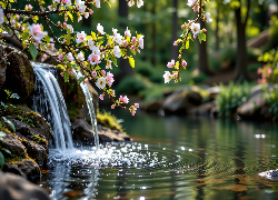Wiszące, Ukwiecone, Gałązki, Kwiaty, Woda, Grafika AI