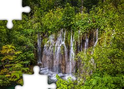 Chorwacja, Wodospady, Park Narodowy Jezior Plitwickich, Drzewa, Rośliny
