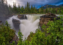 Kanada, Prowincja Alberta, Park Narodowy Jasper, Góry, Drzewa, Świerki, Wodospad Athabasca, Skały