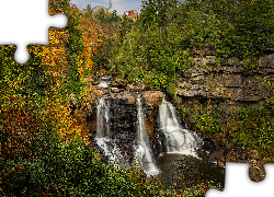 Stany Zjednoczone, Wirginia zachodnia, Park stanowy Blackwater Falls, Rzeka, Wodospad, Blackwater Falls, Skały, Drzewa