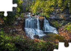 Park stanowy Blackwater Falls, Rzeka Blackwater, Wodospad, Blackwater Falls, Skały, Drzewa, Las, Wirginia Zachodnia, Stany Zjednoczone