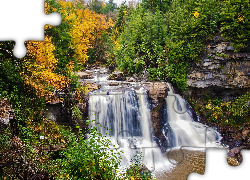 Wodospad Blackwater Falls, Rzeka Blackwater, Skały, Drzewa, Las, Jesień, Park stanowy Blackwater, Stan Wirginia Zachodnia, Stany Zjednoczone