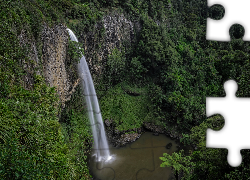 Wodospad Bridal Veil Falls, Las, Skała, Region Waikato, Wyspa Północna, Nowa Zelandia