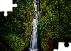Wodospad, Bridal Veil Falls, Drzewa, Roślinność, Stan Oregon, Stany Zjednoczone