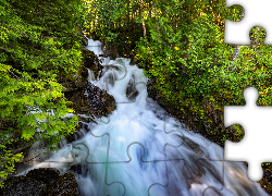 Wodospad Deception Falls, Skały, Las, Drzewa, Miejscowość Skykomish, Stan Waszyngton, Stany Zjednoczone