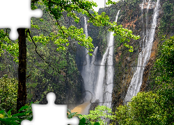 Indie, Stan Karnataka, Wodospad Dźog, Waterfalls Jog, Las, Drzewa, Skała, Rośliny