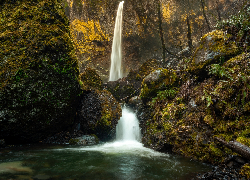 Las, Wodospad, Elowah Falls, Omszona, Skała, Kamienie, Rzeka, McCord Creek, Oregon, Stany Zjednoczone