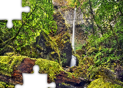 Wodospad Elowah Falls, Potok McCord Creek, Rezerwat przyrody Columbia River Gorge, Stan Oregon, Stany Zjednoczone, Las, Drzewa, Krzewy, Mech, Skały