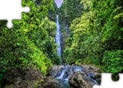 Zielony, Las, Drzewa, Wodospad, Hanakapiai Falls, Rzeka, Skała, Wyspa Kauai, Hawaje, Stany Zjednoczone