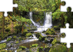 Wodospad, Horseshoe Falls, Skała, Omszałe, Kamienie, Paprocie, Las, Rzeka, Park Narodowy Mount Field, Stan Tasmania, Australia