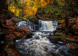 Stany Zjednoczone, Pensylwania, Ricketts Glen State Park, Jesień, Las, Wodospad, Cayuga Falls, Rzeka, Drzewa