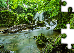 Anglia, Hrabstwo North Yorkshire, Wodospad Janets Foss, Las, Mech