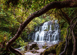 Las, Drzewa, Wodospad, Kamienie, Mech, Purakaunui Falls, Nowa Zelandia