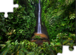 Wodospad, Leke Leke Waterfall, Las, Drzewa, Liście, Rośliny, Bali, Indonezja