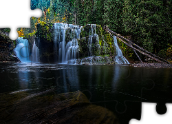 Omszałe, Skały, Las, Wodospad Lower Lewis River Falls, Stan Waszyngton, Stany Zjednoczone