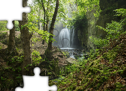 Las, Drzewa, Strumień, Rzeka, Wodospad Lumsdale Falls, Miejscowość Matlock, Hrabstwo Derbyshire, Anglia