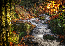 Wodospad, Lumsdale Waterfall, Potok, Skały, Las, Drzewa, Kolorowe, Liście, Jesień, Matlock, Anglia