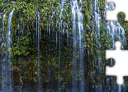 Wodospad, Mossbrae Falls, Rośliny, Kalifornia, Stany Zjednoczone