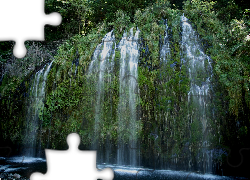 Wodospad Mossbrae Falls, Rośliny, Stan Kalifornia, Stany Zjednoczone