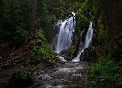 Park Narodowy Jeziora Kraterowego, Las, Drzewa, Skała, Wodospad, National Creek Falls, Rzeka, Kamienie, Oregon, Stany Zjednoczone