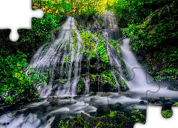 Drzewa, Omszona, Skała, Wodospad, Panther Creek Falls, Miejsce chronione, Gifford Pinchot National Forest, Stan Waszyngton, Stany Zjednoczone