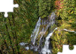 Las, Drzewa, Wodospad, Panther Creek Falls, Gifford Pinchot National Forest, Stan Waszyngton, Stany Zjednoczone