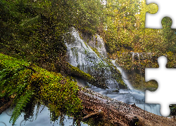 Wodospad Panther Creek Falls, Las państwowy Chattahoochee, Drzewa, Stan Waszyngton, Stany Zjednoczone