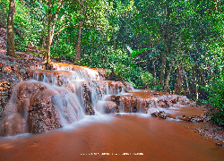 Las, Drzewa, Skały, Wodospad Pha Wai, Prowincja Tak, Tajlandia