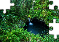 Wodospad Punch Bowl Falls, Las, Paprocie, Drzewa, Oregon, Stany Zjednoczone