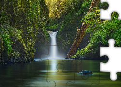 Stany Zjednoczone, Stan Oregon, Rezerwat przyrody Columbia River Gorge, Wodospad Punch Bowl Falls, Las, Potok Eagle Creek, Rzeka