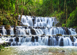 Wodospad Samlan, Las, Drzewa, Park Narodowy Namtok Phlio, Prowincja, Saraburi, Tajlandia