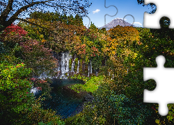 Japonia, Shizuoka, Park Narodowy Fudżi Hakone Izu, Góra Fudżi, Wodospad Shiraito, Rzeka, Drzewa, Roślinność