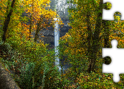 Wodospad South Falls, Las, Drzewa, Paprocie, Jesień, Park miejski Silver Falls, Oregon, Stany Zjednoczone