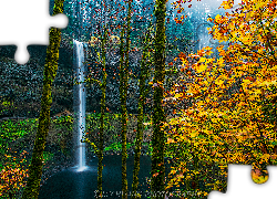 Wodospad South Falls, Las, Drzewa, Jesień, Skała, Park miejski Silver Falls, Oregon, Stany Zjednoczone