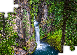 Las, Zielone, Drzewa, Rośliny, Skały, Wodospad Toketee, Park Narodowy Jeziora Kraterowego, Oregon, Stany Zjednoczone