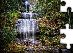 Stany Zjednoczone, Stan Georgia, Wodospad Upper DeSoto Falls, Rzeka Frogtown Creek, Las, Drzewa  Drzewo