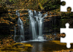 Park stanowy Ricketts Glen State Park, Wodospad, Skały, Las, Stan Pensylwania, Stany Zjednoczone