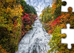 Japonia, Prefektura Tochigi, Park Narodowy Nikko, Wodospad Yudaki, Jesień, Drzewa